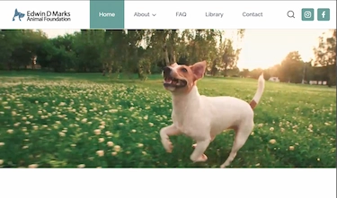 Pet Foundation Website
